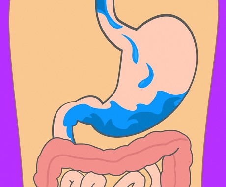 optimal food culture for-continuous health,زمان هزم آب